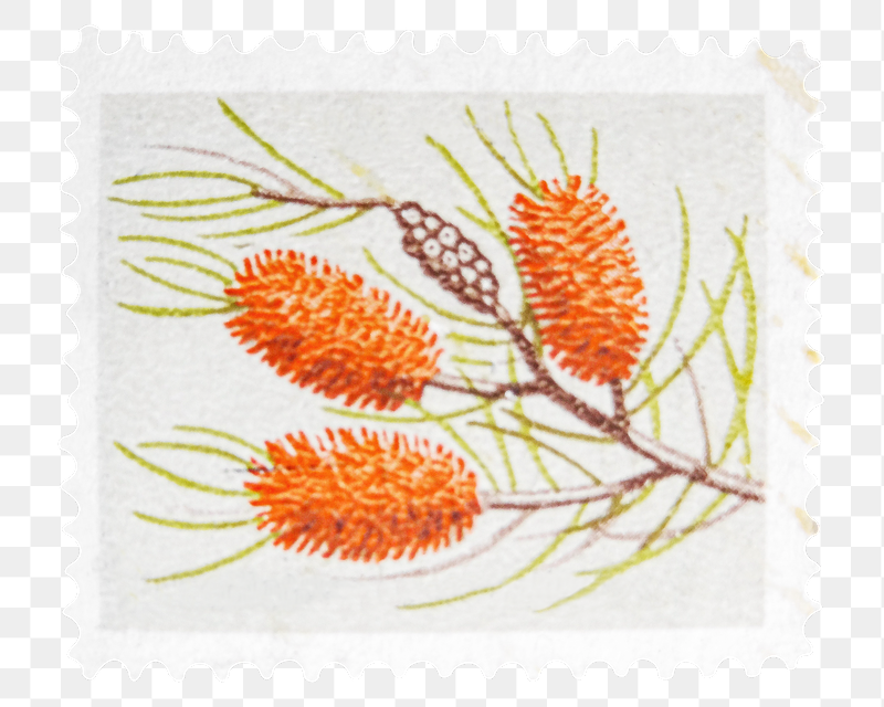 Postcard stamp png sticker, transparent | Free PNG - rawpixel