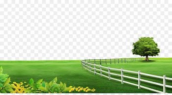Poster Computer file - Grassland fence tree background material 