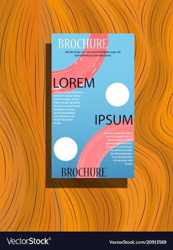 Poster flyer pamphlet brochure cover design vector image