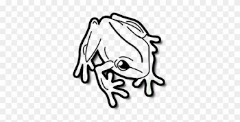 Poster Frog Tropical Small Nature Jump Hop Animal Download - Frog Png Black And White