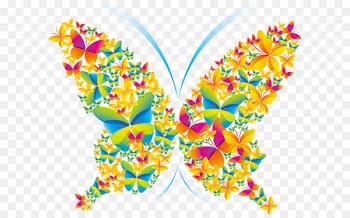 Poster Graphic design - butterfly 