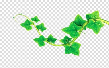 Poster Happiness Nature, Leaves transparent background PNG clipart