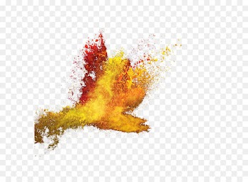 Poster Illustration - Pour the splash of yellow red powder 