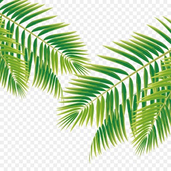 Poster Leaf Bride - Small fresh island tour 