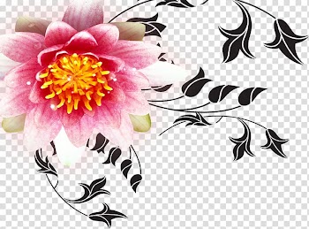 Poster Red Flower, peony transparent background PNG clipart