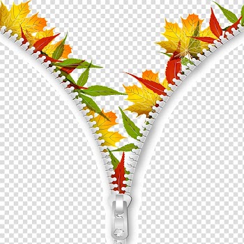 Poster Sales promotion Autumn Chinese New Year, Maple zipper transparent background PNG clipart