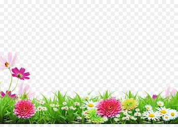 Poster - Spring background poster 