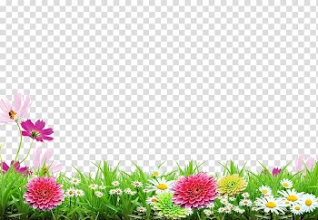 Poster, Spring background poster, assorted-color flowers transparent background PNG clipart