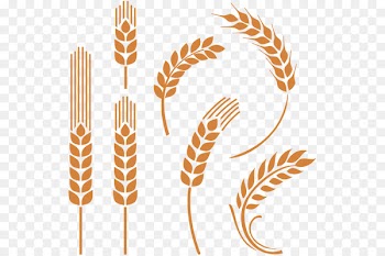 Poster Thunnus 大漁 Mural Blue - ears of wheat 