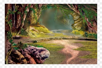 Poster Wallpaper - Forest background 