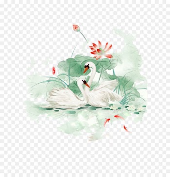 Poster Watercolor painting - Hand-painted swan 