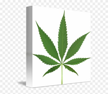 Pot Leaf