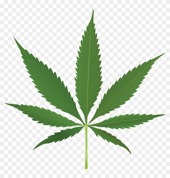 Pot Leaf Clipart No Background - Cannabis Leaf