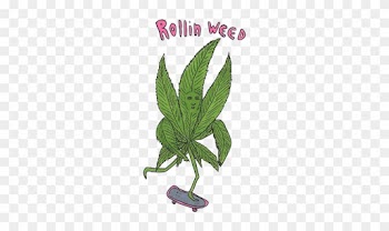 Pot Leaf Clipart With Transparent Background - Ripndip