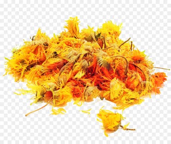 Pot Marigold, Marigold, Herb, Yellow, Cuisine PNG