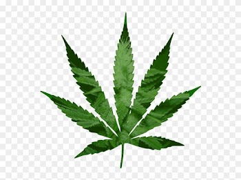 Pot Plant Clipart Animated Gif - Cannabis Leaf