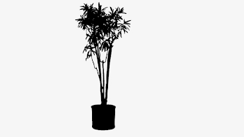 Pot Silhouette, Plant Silhouette, Vector Plant PNG and Vector for ...