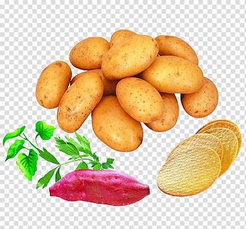 Potato harvester Sweet potato Vegetable, Potatoes, sweet potatoes, green leafy transparent background PNG clipart