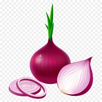 Potato onion Red onion Vegetable Garlic White onion - Vector Onions 