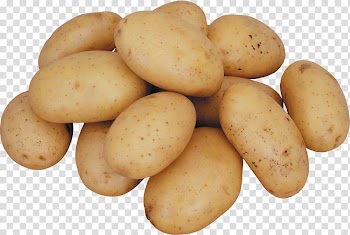 Potato onion Vegetable, Potato s transparent background PNG clipart