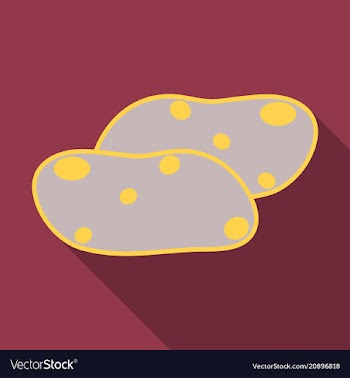 Potatoes isolated background vector image