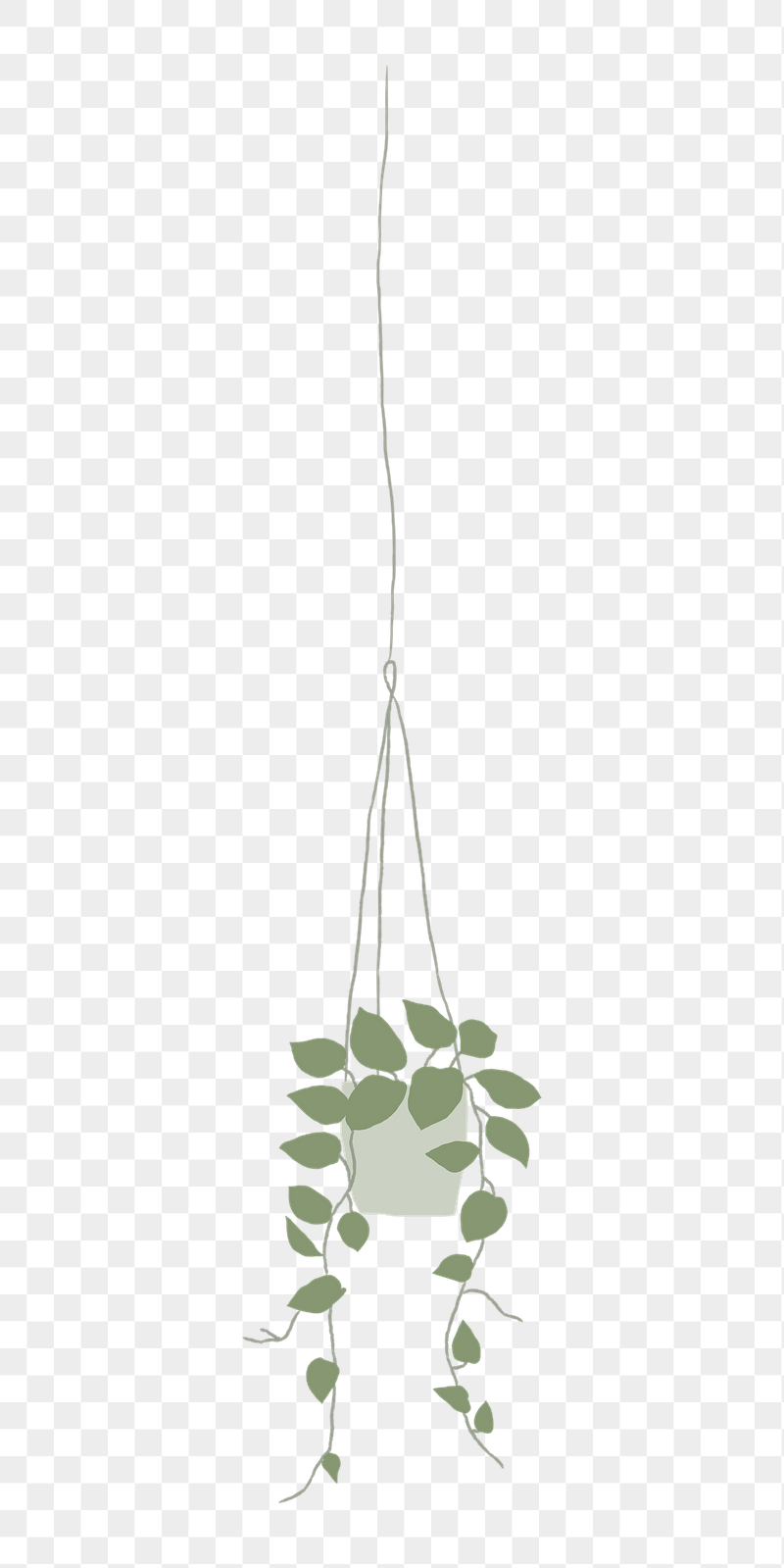 Pothos png doodle houseplant sticker, | Free PNG - rawpixel