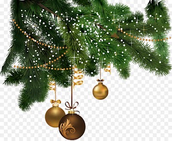 Potins de Femmes Christmas Festival Greeting & Note Cards Party - Spruce 