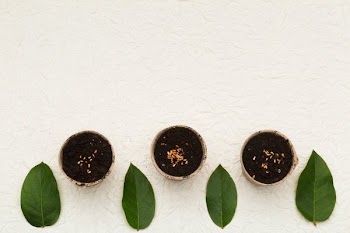 Pots Seeds And Leaves
