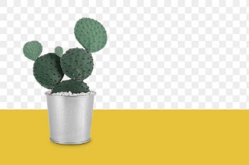 Potted cactus png background retro remix | Free stock illustration | High Resolution graphic