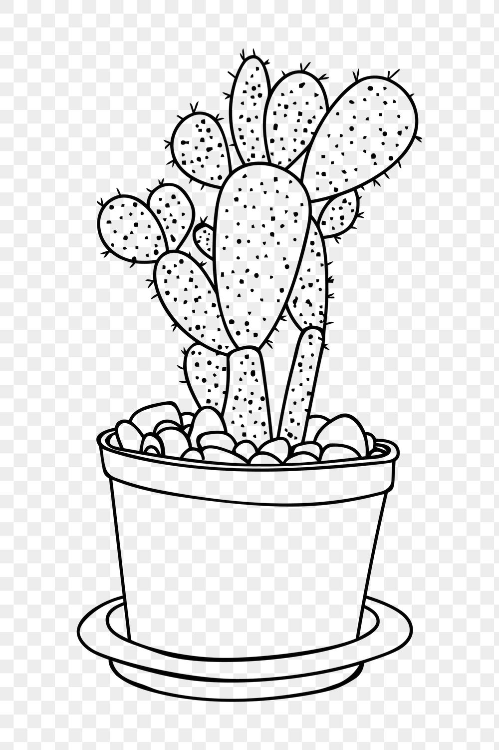 Potted cactus png sticker, houseplant | Free PNG - rawpixel