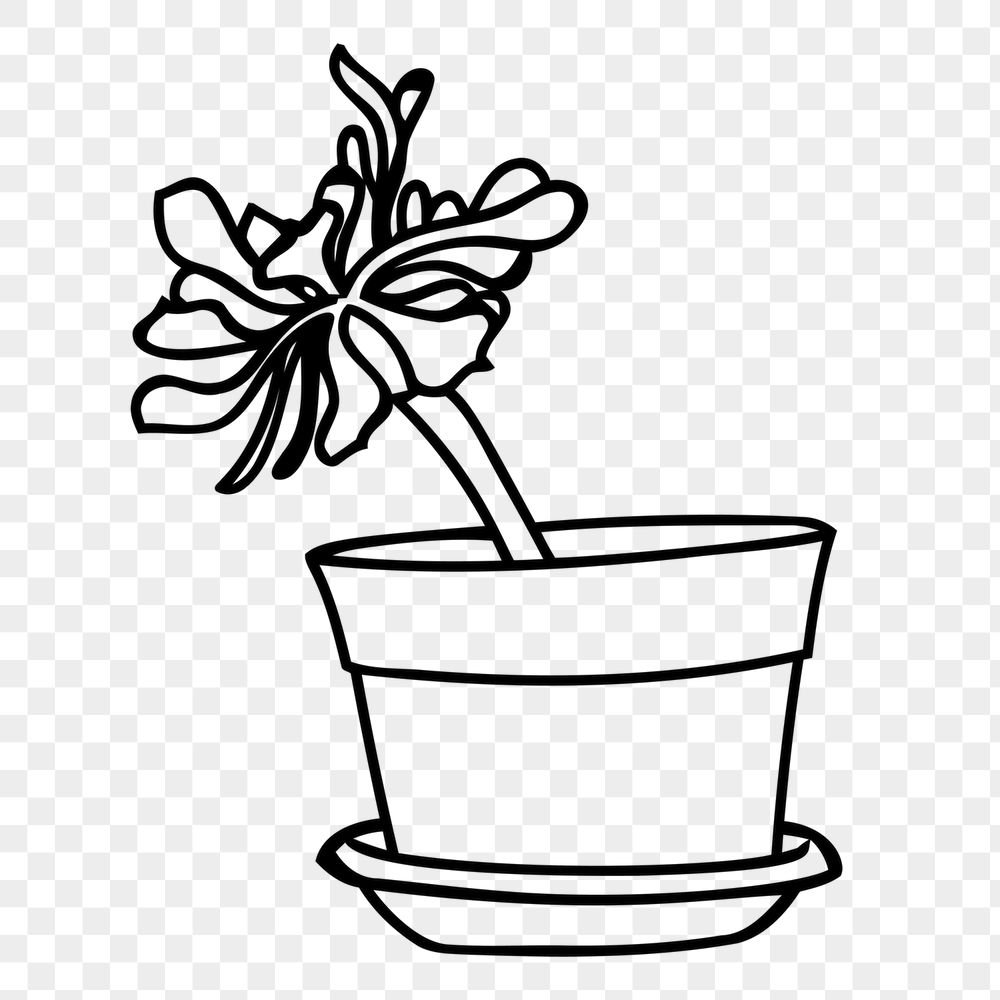 Potted flower png sticker, houseplant | Free PNG - rawpixel
