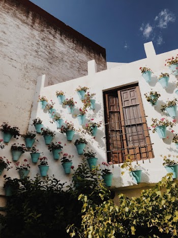 Potted Flowers Hanging on the Wall of a House