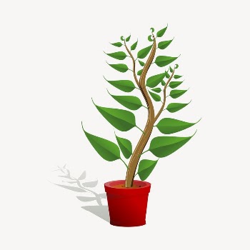 Potted plant clipart, botanical illustration | Free Vector - rawpixel