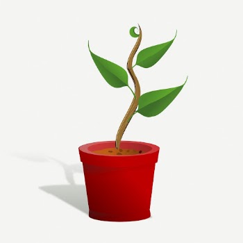 Potted plant clipart, collage element | Free PSD - rawpixel
