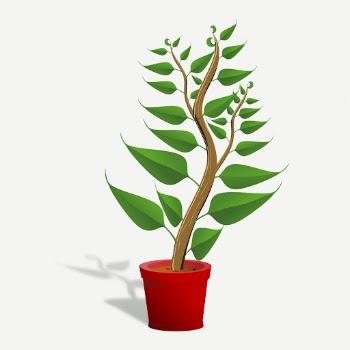 Potted plant clipart, collage element | Free PSD - rawpixel