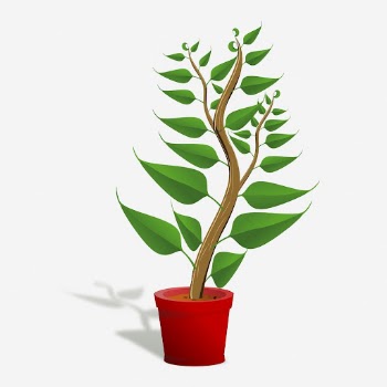 Potted plant clipart illustration. Free | Free Photo - rawpixel