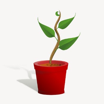 Potted plant clipart, illustration vector. | Free Vector - rawpixel