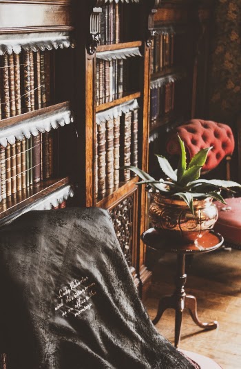 Potted Plant Near Bookcase