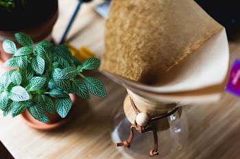 potted plant near glass vase