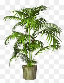 Potted, Plant, Pot PNG Transparent Image and Clipart for Free ...