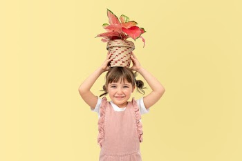 Potted plants and kid studio shoot | Free stock photo | High Resolution image