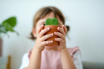 Potted plants at home held by a cute kid  | Free stock photo | High Resolution image