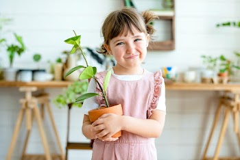Potted plants at home held by a cute kid  | Free stock photo | High Resolution image