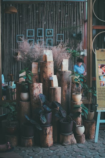 Potted Plants Displayed on Top of Wooden Columns