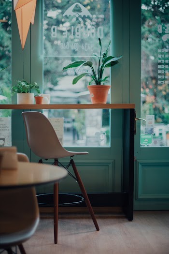 Potted Plants On A Table