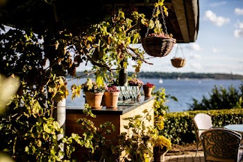 Potted Plants on Counter top