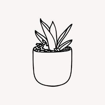 Potted snake plant drawing, botanical | Free Vector - rawpixel