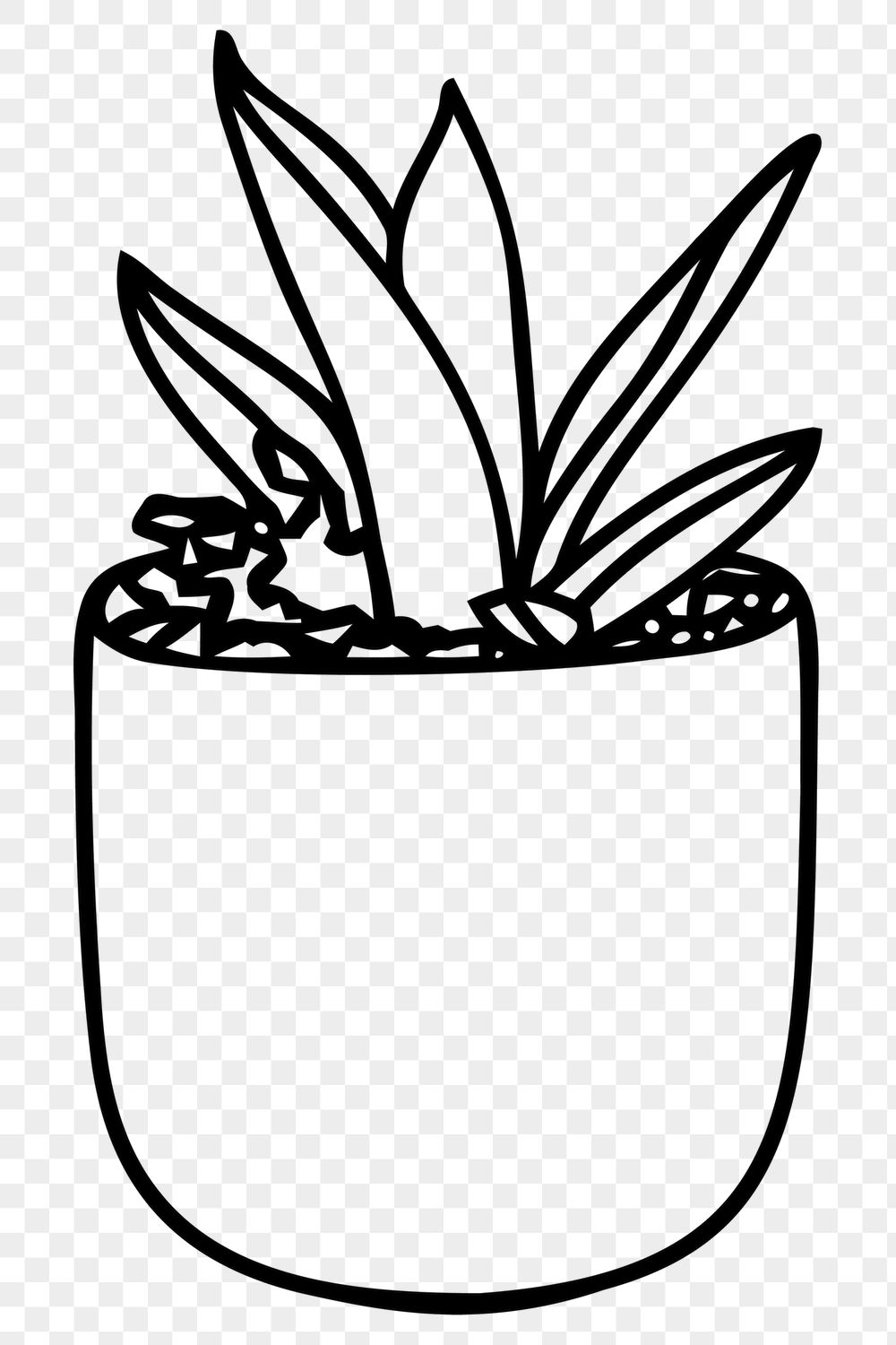Potted snake plant png sticker, | Free PNG - rawpixel