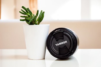 Potted Succulent Plant Beside Tamron Camera Lens