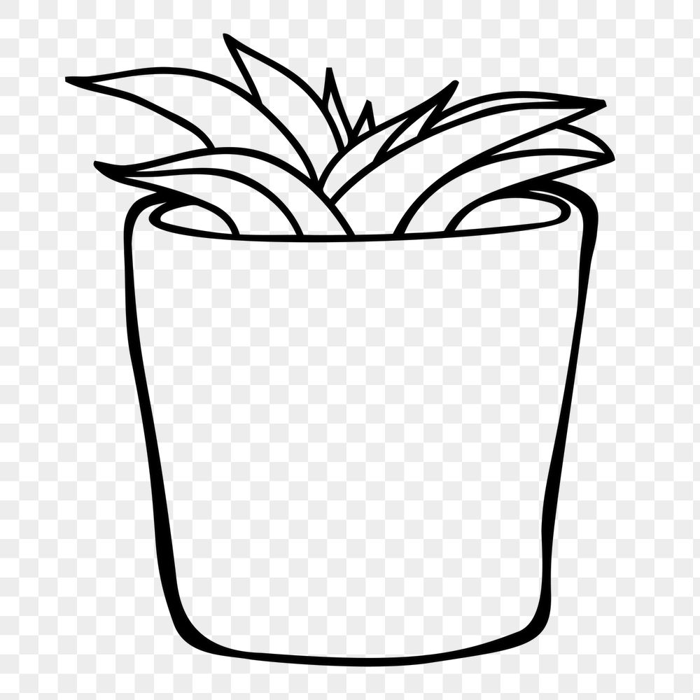 Potted succulent png sticker, houseplant | Free PNG - rawpixel
